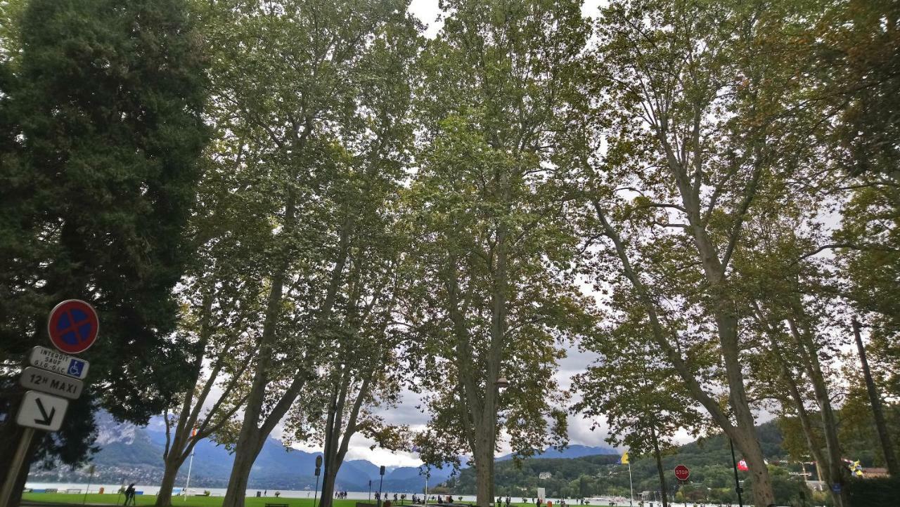 Residence Albigny Studio Vue Sur Lac Centre-Ville D'Annecy Exterior foto